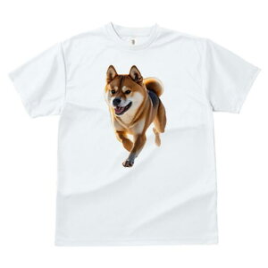 Č TVc  j[NfUCfB[X t@  t vg lJWA 킢 lԗp Mtg I ҏ΍ Č