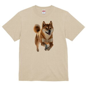 Č TVc  j[NfUCfB[X t@  t vg lJWA 킢 lԗp Mtg I ҏ΍ Č