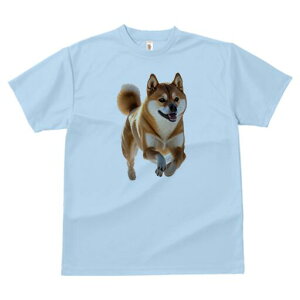 Č TVc  j[NfUCfB[X t@  t vg lJWA 킢 lԗp Mtg I ҏ΍ Č