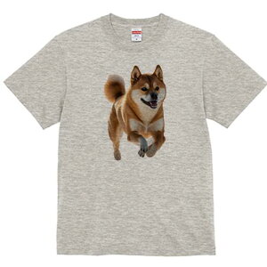 Č TVc  j[NfUCfB[X t@  t vg lJWA 킢 lԗp Mtg I ҏ΍ Č