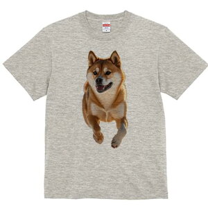 Č TVc  j[NfUCfB[X t@  t vg lJWA 킢 lԗp Mtg I ҏ΍ Č