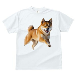 Č TVc  j[NfUCfB[X t@  t vg lJWA 킢 lԗp Mtg I ҏ΍ Č