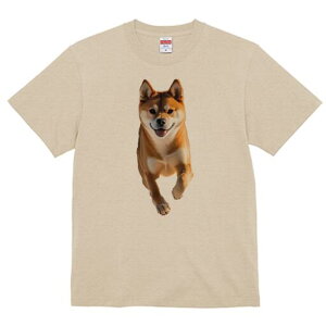 Č TVc  j[NfUCfB[X t@  t vg lJWA 킢 lԗp Mtg I ҏ΍ Č