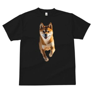 Č TVc  j[NfUCfB[X t@  t vg lJWA 킢 lԗp Mtg I ҏ΍ Č