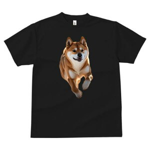 Č TVc  j[NfUCfB[X t@  t vg lJWA 킢 lԗp Mtg I ҏ΍ Č