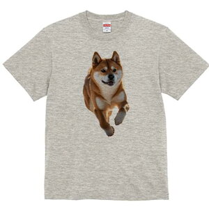 Č TVc  j[NfUCfB[X t@  t vg lJWA 킢 lԗp Mtg I ҏ΍ Č