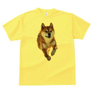 Č TVc  j[NfUCfB[X t@  t vg lJWA 킢 lԗp Mtg I ҏ΍ Č