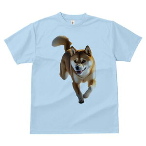 Č TVc  j[NfUCfB[X t@  t vg lJWA 킢 lԗp Mtg I ҏ΍ Č