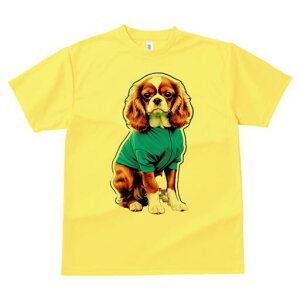 LoA TVc  j[NfUCfB[X t@  t vg lJWA 킢 lԗp Mtg I ҏ΍ TVc LoA 