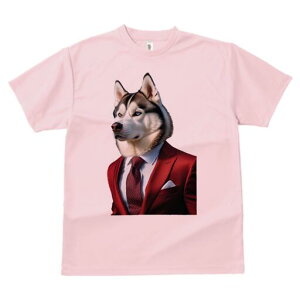 VxAnXL[ TVc  j[NfUCfB[X t@  t vg lJWA 킢 lԗp Mtg I ҏ΍ X[c VxAnXL[ lN^C 