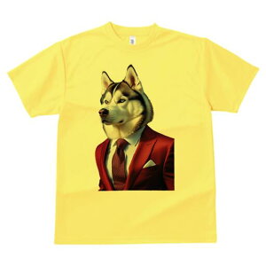 VxAnXL[ TVc  j[NfUCfB[X t@  t vg lJWA 킢 lԗp Mtg I ҏ΍ X[c VxAnXL[ lN^C 