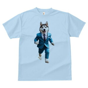 VxAnXL[ TVc  j[NfUCfB[X t@  t vg lJWA 킢 lԗp Mtg I ҏ΍ X[c VxAnXL[ lN^C 