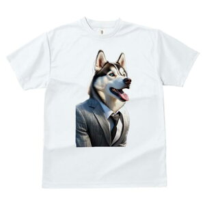 VxAnXL[ TVc  j[NfUCfB[X t@  t vg lJWA 킢 lԗp Mtg I ҏ΍ X[c VxAnXL[ lN^C 