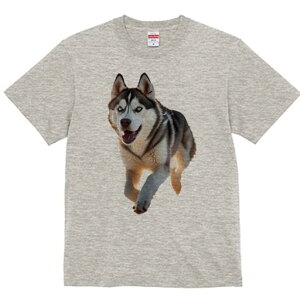 VxAnXL[ TVc  j[NfUCfB[X t@  t vg lJWA 킢 lԗp Mtg I ҏ΍ VxAnXL[