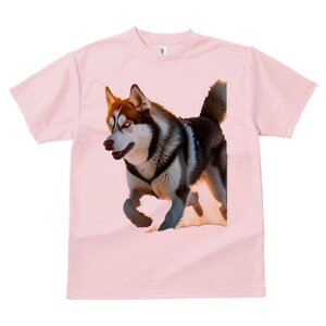 VxAnXL[ TVc  j[NfUCfB[X t@  t vg lJWA 킢 lԗp Mtg I ҏ΍ VxAnXL[