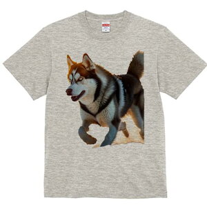 VxAnXL[ TVc  j[NfUCfB[X t@  t vg lJWA 킢 lԗp Mtg I ҏ΍ VxAnXL[