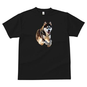 VxAnXL[ TVc  j[NfUCfB[X t@  t vg lJWA 킢 lԗp Mtg I ҏ΍ VxAnXL[