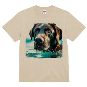 uh[go[ TVc  j[NfUCfB[X t@  t vg lJWA 킢 lԗp Mtg I ҏ΍  uh[go[  