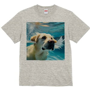 S[fgo[ TVc  j[NfUCfB[X t@  t vg lJWA 킢 lԗp Mtg I ҏ΍  S[fgo[ 