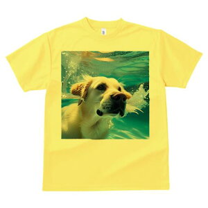 S[fgo[ TVc  j[NfUCfB[X t@  t vg lJWA 킢 lԗp Mtg I ҏ΍  S[fgo[ 