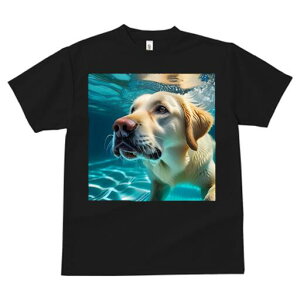 S[fgo[ TVc  j[NfUCfB[X t@  t vg lJWA 킢 lԗp Mtg I ҏ΍  S[fgo[  v[