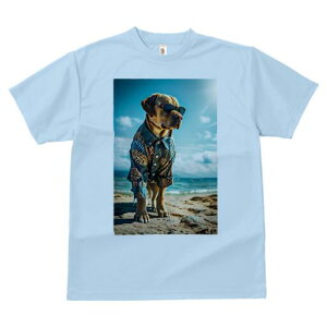 uh[go[ TVc  j[NfUCfB[X t@  t vg lJWA 킢 lԗp Mtg I ҏ΍ AnVc uh[g