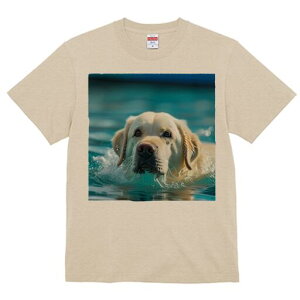 S[fgo[ TVc  j[NfUCfB[X t@  t vg lJWA 킢 lԗp Mtg I ҏ΍  S[fgo[ v[