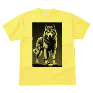 nXL[ TVc  j[NfUCfB[X t@  t vg lJWA 킢 lԗp Mtg I ҏ΍ Ȃ nXL[