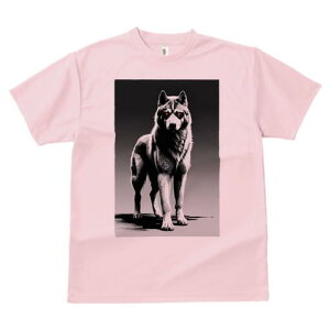 nXL[ TVc  j[NfUCfB[X t@  t vg lJWA 킢 lԗp Mtg I ҏ΍ TCo[pN nXL[ SF