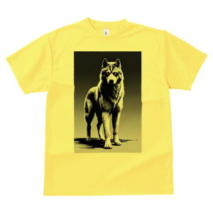 nXL[ TVc  j[NfUCfB[X t@  t vg lJWA 킢 lԗp Mtg I ҏ΍ TCo[pN nXL[ SF