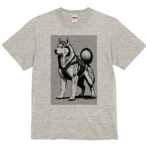 nXL[ TVc  j[NfUCfB[X t@  t vg lJWA 킢 lԗp Mtg I ҏ΍ nXL[