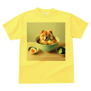 `E`E TVc  j[NfUCfB[X t@  t vg lJWA 킢 lԗp Mtg I ҏ΍ [ `E`E  