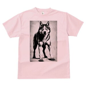 nXL[ TVc  j[NfUCfB[X t@  t vg lJWA 킢 lԗp Mtg I ҏ΍ nXL[