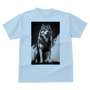 VxAnXL[ TVc  j[NfUCfB[X t@  t vg lJWA 킢 lԗp Mtg I ҏ΍ n[lX VxAnXL[ mN