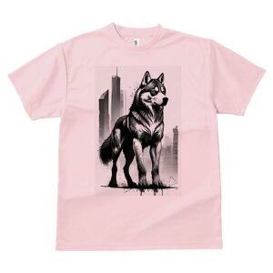 nXL[ TVc  j[NfUCfB[X t@  t vg lJWA 킢 lԗp Mtg I ҏ΍ ss nXL[ wr