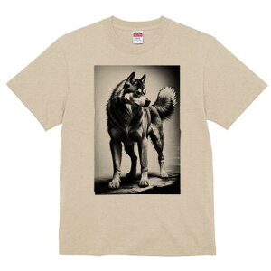 nXL[ TVc  j[NfUCfB[X t@  t vg lJWA 킢 lԗp Mtg I ҏ΍ nXL[