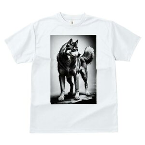 nXL[ TVc  j[NfUCfB[X t@  t vg lJWA 킢 lԗp Mtg I ҏ΍ nXL[