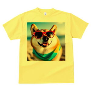 Č TVc  j[NfUCfB[X t@  t vg lJWA 킢 lԗp Mtg I ҏ΍ TOX Č r[`  C