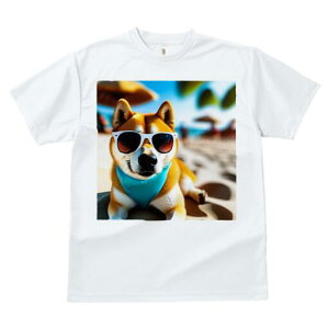 Č TVc  j[NfUCfB[X t@  t vg lJWA 킢 lԗp Mtg I ҏ΍ TOX Č r[`