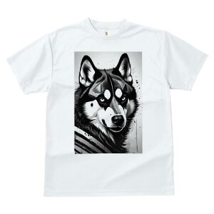 nXL[ TVc  j[NfUCfB[X t@  t vg lJWA 킢 lԗp Mtg I ҏ΍ nXL[