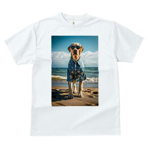 uh[go[ TVc  j[NfUCfB[X t@  t vg lJWA 킢 lԗp Mtg I ҏ΍ AnVc uh[g