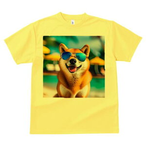 Č TVc  j[NfUCfB[X t@  t vg lJWA 킢 lԗp Mtg I ҏ΍ TOX Č r[`