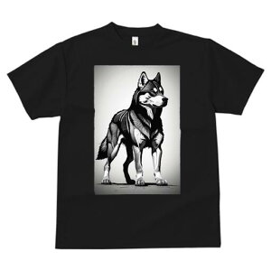 nXL[ TVc  j[NfUCfB[X t@  t vg lJWA 킢 lԗp Mtg I ҏ΍ nXL[