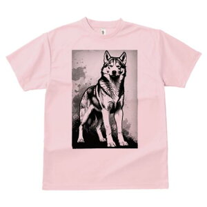 nXL[ TVc  j[NfUCfB[X t@  t vg lJWA 킢 lԗp Mtg I ҏ΍ nXL[