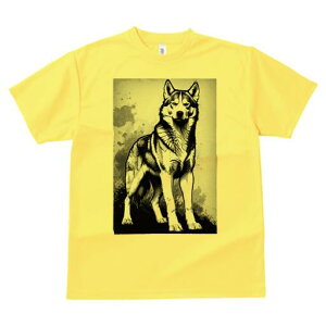 nXL[ TVc  j[NfUCfB[X t@  t vg lJWA 킢 lԗp Mtg I ҏ΍ nXL[