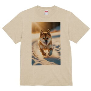 Č TVc  j[NfUCfB[X t@  t vg lJWA 킢 lԗp Mtg I ҏ΍  Č ~ z