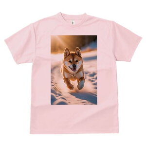 Č TVc  j[NfUCfB[X t@  t vg lJWA 킢 lԗp Mtg I ҏ΍  Č ~ z