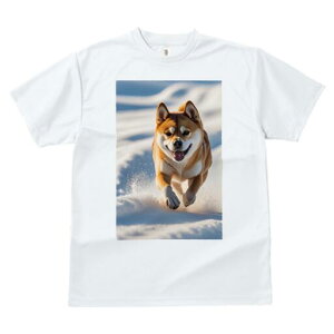 Č TVc  j[NfUCfB[X t@  t vg lJWA 킢 lԗp Mtg I ҏ΍  Č ~ Ί