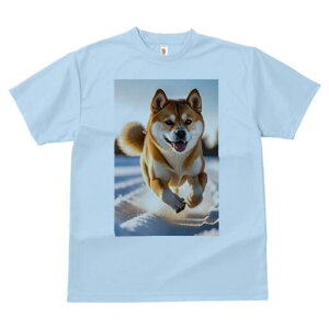 Č TVc  j[NfUCfB[X t@  t vg lJWA 킢 lԗp Mtg I ҏ΍  Č