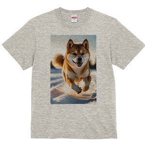 Č TVc  j[NfUCfB[X t@  t vg lJWA 킢 lԗp Mtg I ҏ΍  Č